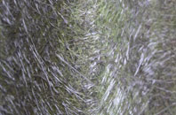 Fettercairn fibreglass roof work